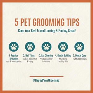 Peut inclure: Infographie sur fond orange clair avec le titre "5 CONSEILS DE TOILETTAGE POUR ANIMAUX". Les conseils incluent le brossage régulier, la coupe des ongles, le nettoyage des oreilles, le bain doux et les soins dentaires. Le texte "Gardez votre meilleur ami beau et en pleine forme !" est également inclus.
