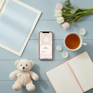 Adoption Journey Tracker Planner Home Study Documents Agency Court Dates Waiting Checklist Digital Digital Download