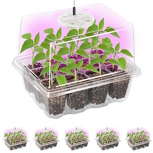 May include: A clear plastic seed starter tray with twelve individual cells filled with dark soil and green seedlings. A transparent dome cover features a white circular adjustable ventilation dial on top, illuminated by a soft purple grow light.
