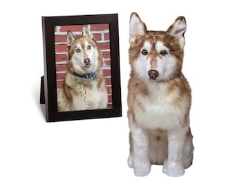 Peluches personalizados de husky, clon para abrazar