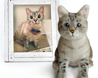 Peluches personalizados de gato, clon para abrazar
