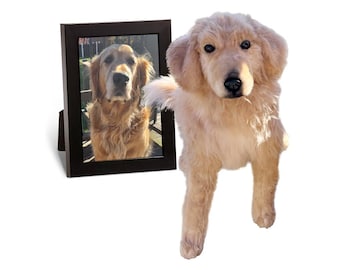 Peluche personalizado de Golden Retriever para abrazar