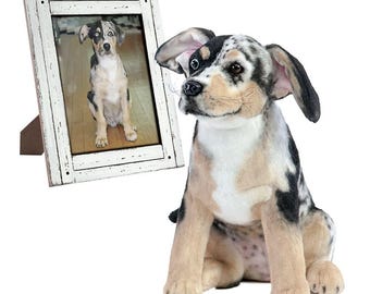 Clon de peluche original para abrazar