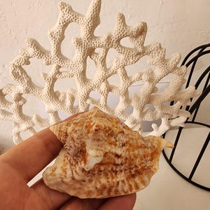 May include: A handmade wooden sign with the text "Welcome to our home" in a handwritten style. The sign is painted white with black lettering and a distressed finish, perfect for home decor.