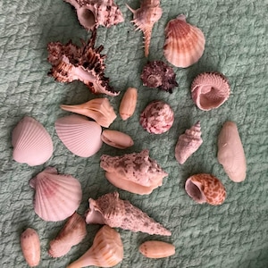 Pode incluir: Uma placa de madeira rústica com a frase "Welcome to our home" em letras brancas. A placa apresenta um acabamento desgastado e um design simples e convidativo, perfeito para uma varanda ou entrada.