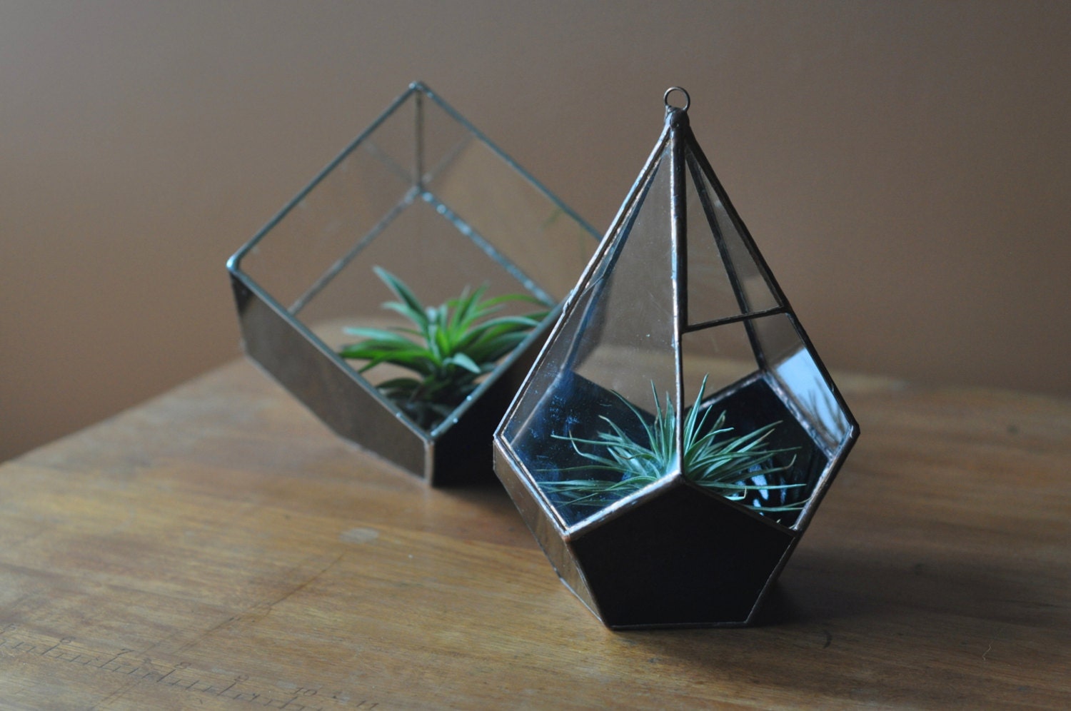 Magus Teardrop Terrarium, Terrarium en Verre Teardrop avec Base Dodécaèdre Couleur Cuivre ou Argent 