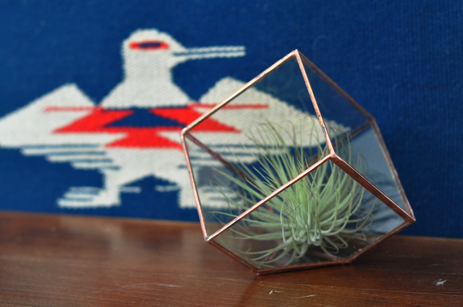 Earth Terrarium Kit small cube glass planter in copper or Etsy