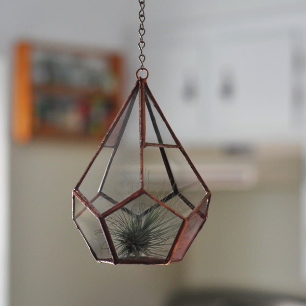 RESERVED for Stephanie - Hanging Teardrop Glass Terrarium -- for air plant terrarium or small succulent