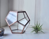 Universe Terrarium Kit, small dodecahedron glass terrarium with a hinged door -- stained glass -- copper or silver color -- eco friendly