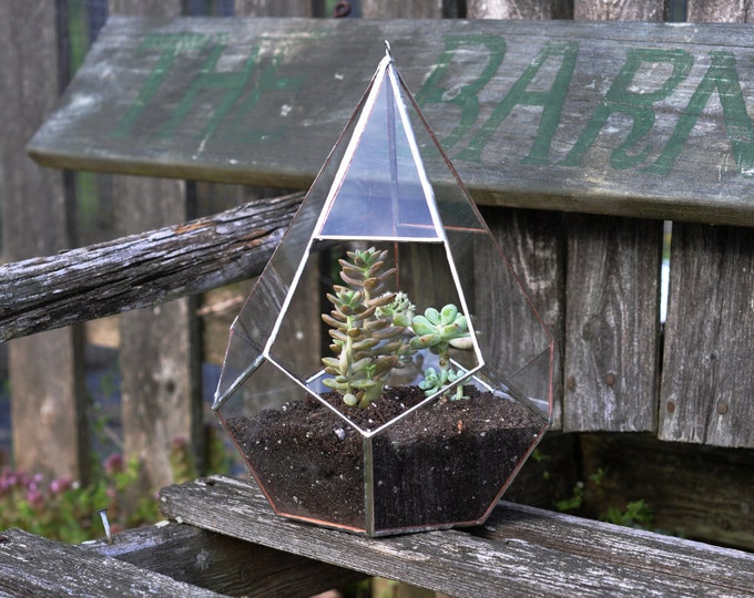 Teardrop Terrarium Kit Large Teardrop Glass Terrarium Etsy