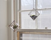 Zephyrus Terrarium, small -- for air plant terrarium or small succulent -- stained glass -- terrarium supplies -- eco friendly