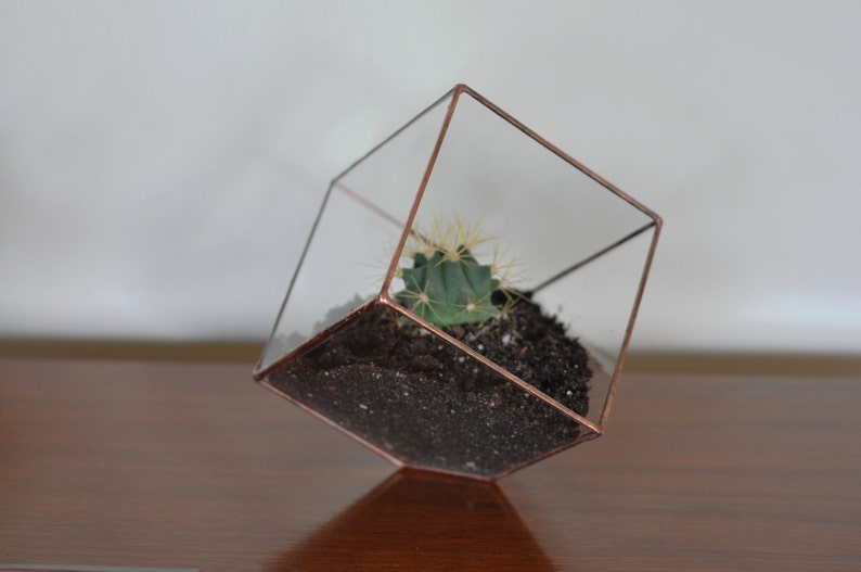 Earth Terrarium Kit, medium cube glass planter in copper or silver color -- stained glass -- terrarium supplies -- eco friendly 