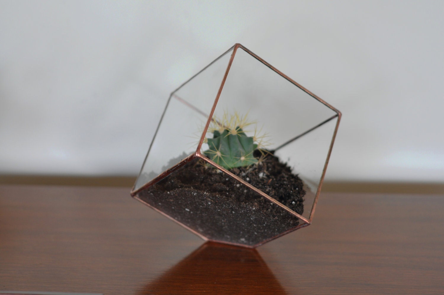 Earth Terrarium Kit, Planteur de Verre Cube Moyen Couleur Cuivre ou Argent Vitrail Fournitures Terra