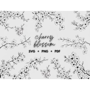 May include: Black and white digital illustrations of cherry blossom branches in various arrangements. The text "Cherry blossom" is written in cursive, with "SVG + PNG + PDF" below it. The image is on a light grey background.