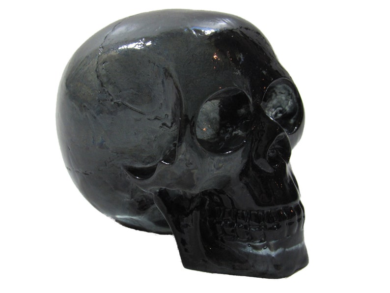 May include: A black ceramic skull. The skull is glossy and features a detailed design.