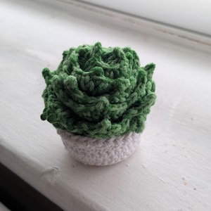 Faux Succulent with Pot