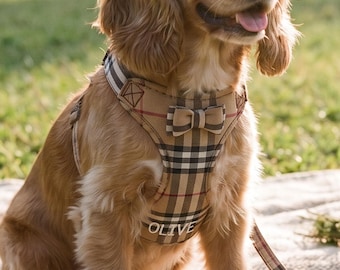 Pettorina personalizzata per animali domestici con nome, gilet a quadri ricamato per cani, pettorina anti-tiro con papillon, accessori per cani di piccola e media taglia, pettorina per gatti