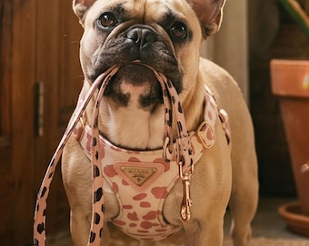 May include: A fawn-colored French Bulldog wearing a light pink harness with a dark pink leopard print pattern. The dog is holding a matching pink leopard print leash in its mouth. The harness features gold-toned metal hardware and a small triangular logo.