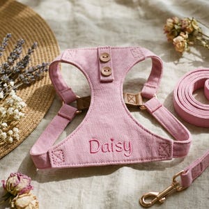 May include: A pink dog harness and lead set. The harness is embroidered with the name "Daisy". The set includes a rolled-up lead with a gold-coloured clasp. The harness has two wooden buttons and adjustable straps.