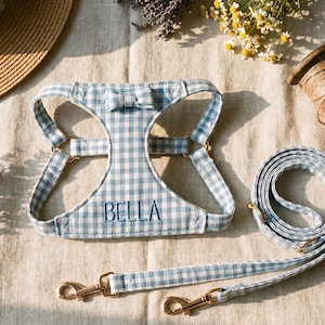 May include: A light blue and white gingham patterned pet harness and matching leash set. The harness features a small fabric bow at the top and the name BELLA embroidered in dark blue thread on the chest panel, with gold-toned metal hardware.