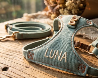 Custom Dog Harness and Leash Set, Personalized Puppy Vest with Buttons, Vintage Style Pet Harness, Small Dog Gift