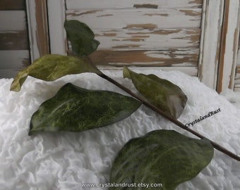 Large Green Magnolia Leaves - Artificial Silk Flowers - Foliage - Wedding Bouquets, DIY Supplies - DC004