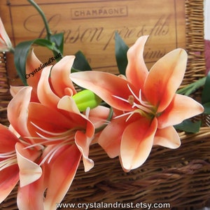 May include: A bouquet of peach-colored lilies with green stems in a wicker basket. The basket has a wooden lid with the text "Champagne Saison Premiere & Fils" on it.