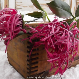 May include: A wooden crate filled with vibrant pink flowers and green leaves. The flowers have a unique, cascading shape. The crate has a rustic, aged appearance, with visible wood grain and joinery details. The background is a soft, white, textured surface.