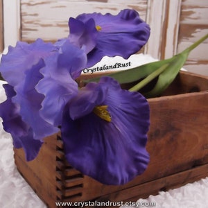 May include: Two purple iris flowers with yellow centers in a rustic wooden box. The box has a distressed finish and is made of wood.