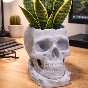May include: A grey skull-shaped plant pot containing a snake plant with green and yellow leaves. The pot is made of a textured material and sits on a wooden desk. A desk lamp and a small cactus are in the background.