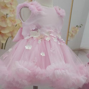 May include: A light pink sleeveless dress featuring a bodice adorned with white and pink floral appliqués and small pearls. The skirt is made of layered tulle with a ruffled hemline, and the waist is decorated with additional floral accents.