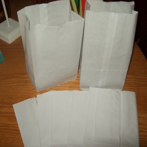 Kraft White Standing Party Treats  Bags 30