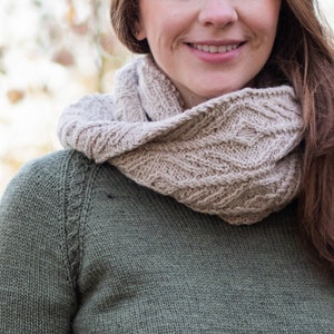 KNITTING PATTERN Wapello Cowl PDF cabled cowl knitting pattern image 1