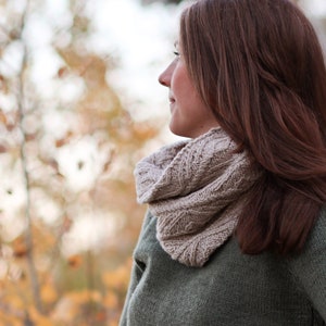 KNITTING PATTERN Wapello Cowl PDF cabled cowl knitting pattern image 3