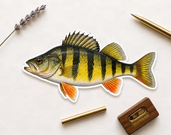 Yellow Perch Sticker, Realistic Fish Decal, angler gift for fisherman, Freshwater fishing cooler