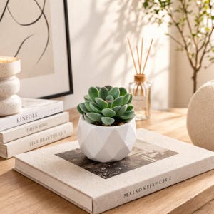 Artificial Succulent Plant in Ceramic Pot Fake Mini Cactus Decor Modern Home Office Desk Decor No Maintenance Gift Aesthetic Room