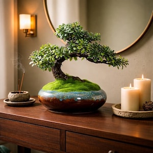 Peut inclure: Un bonsaï avec un feuillage vert et un tronc brun dans un pot en céramique décoratif avec un glaçage bleu et marron. Deux bougies allumées et un brûleur d'encens sont sur une table en bois.