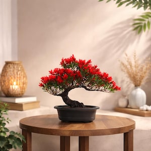 Peut inclure: Un bonsaï miniature avec des fleurs rouges vives et des feuilles vertes est présenté dans un pot rectangulaire noir. Le tronc et les branches sombres et texturés de l'arbre contrastent avec le feuillage lumineux. Le bonsaï est exposé sur une table ronde en bois.