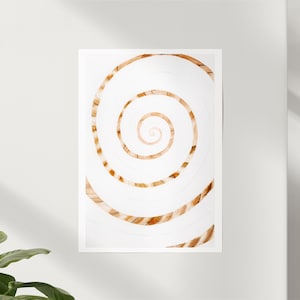 Macro Shell Watercolor Digital Print