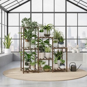 May include: A multi-tiered wooden plant stand filled with various potted plants. The stand is brown and sits on a beige rug in front of a large window. A watering can is on the rug. The plants include snake plants, ferns, and succulents.