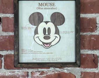 Handmade Mickey Mouse Inspired Vintage Science Textbook Art – 3D Wood Framed Wall Decor, Disney Fan Gift