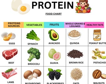Protein Food List Printable | High Protein Foods Chart | Protein-Rich Grocery List | Protein Sources PDF Download