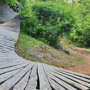 Peut inclure: Une passerelle en bois incurvée faite de planches grises traverse une forêt verdoyante. Un sentier de terre mène au loin, entouré d'un feuillage vert. Le bois est vieilli.