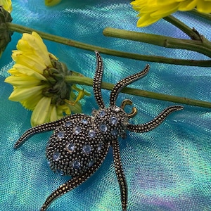 May include: A detailed, antique-style brooch in the shape of a spider. The brooch features a dark metal body with intricate detailing and is adorned with small, light blue gemstones. The spider's legs are long and curved, adding to its realistic appearance.