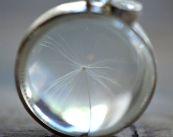 May include: A silver pendant with a clear glass dome containing a delicate white dandelion seed head.