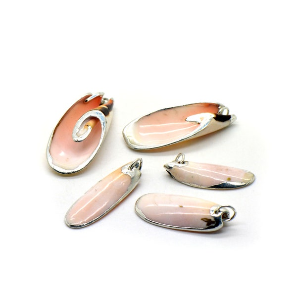 1 - REAL Small Flat Shell with Sterling Silver Plated Trim Pendant Sea Shell Pendant Clam Shell Pendant Charm Jewelry Supplies (AM044)