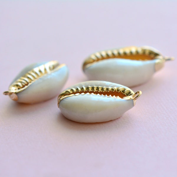 2 - REAL Large Snakehead Cowrie Shell with 24k Gold Plated Trim Pendant Sea Pendant Pearl Shell  Charm Jewelry Supplies (AN008)