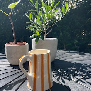 Op de afbeelding: Een keramische kan met een crèmekleurige basis, verticale oranje strepen en een gebogen handvat. De kan staat voor twee potplanten, waaronder een kleine boom, op een donker oppervlak.