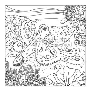 Pagina da colorare con polpo – Animali della barriera corallina del Costa Rica (Download digitale) 8,5” x 8,5”