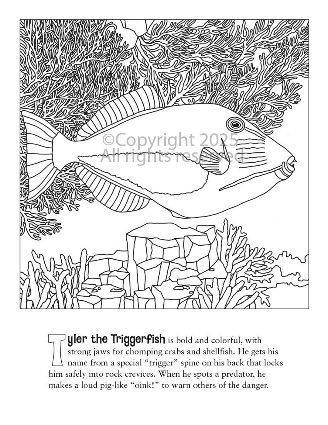 Triggerfish Coloring Page – A to Z Costa Rica Coral Reef Animals ...
